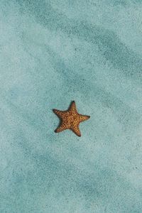 Preview wallpaper starfish, sand, surface