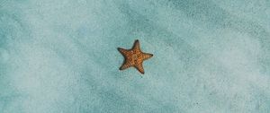 Preview wallpaper starfish, sand, surface