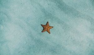 Preview wallpaper starfish, sand, surface