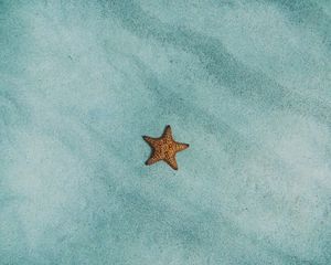 Preview wallpaper starfish, sand, surface
