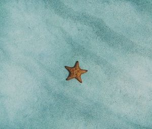Preview wallpaper starfish, sand, surface