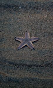 Preview wallpaper starfish, star, beach, sand