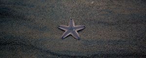 Preview wallpaper starfish, star, beach, sand