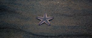 Preview wallpaper starfish, star, beach, sand