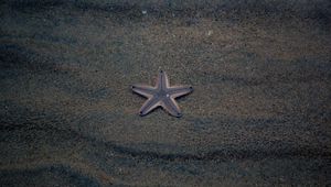 Preview wallpaper starfish, star, beach, sand