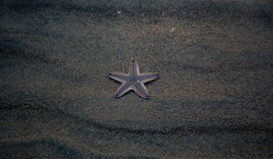 Preview wallpaper starfish, star, beach, sand