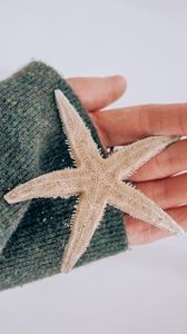 Preview wallpaper starfish, star, hand