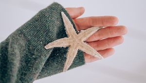 Preview wallpaper starfish, star, hand