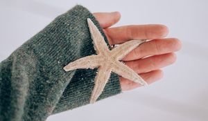 Preview wallpaper starfish, star, hand