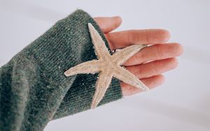 Preview wallpaper starfish, star, hand