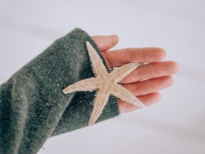 Preview wallpaper starfish, star, hand