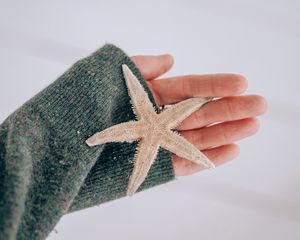 Preview wallpaper starfish, star, hand