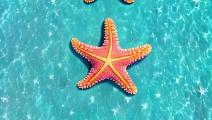 Preview wallpaper starfish, underwater world, water, glare