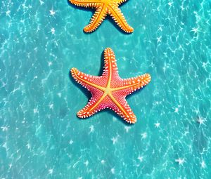 Preview wallpaper starfish, underwater world, water, glare