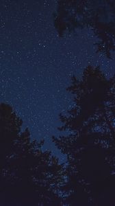 Preview wallpaper starry sky, bottom view, night, trees, tops, stars