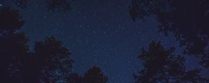 Preview wallpaper starry sky, bottom view, night, trees, tops, stars