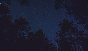 Preview wallpaper starry sky, bottom view, night, trees, tops, stars