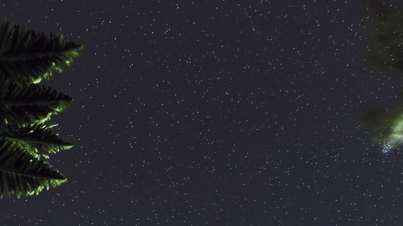 Wallpaper starry sky, branches, leaves, night, dark