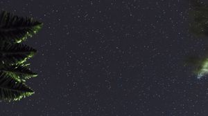 Preview wallpaper starry sky, branches, leaves, night, dark
