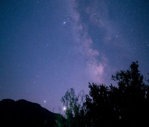 Preview wallpaper starry sky, branches, silhouette, dark, night