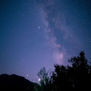 Preview wallpaper starry sky, branches, silhouette, dark, night