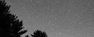 Preview wallpaper starry sky, bushes, bw, stars