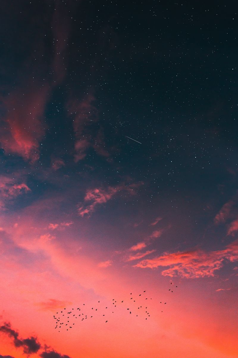 Download Wallpaper 800x1200 Starry Sky Clouds Sunset Iphone 4s4 For