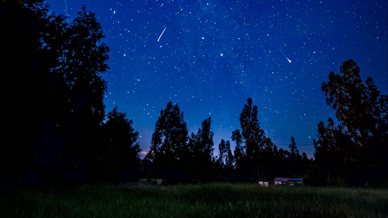 Wallpaper starry sky, comets, trees, night