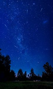 Preview wallpaper starry sky, comets, trees, night
