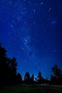 Preview wallpaper starry sky, comets, trees, night