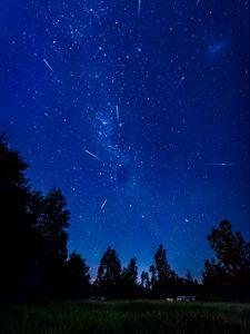 Preview wallpaper starry sky, comets, trees, night