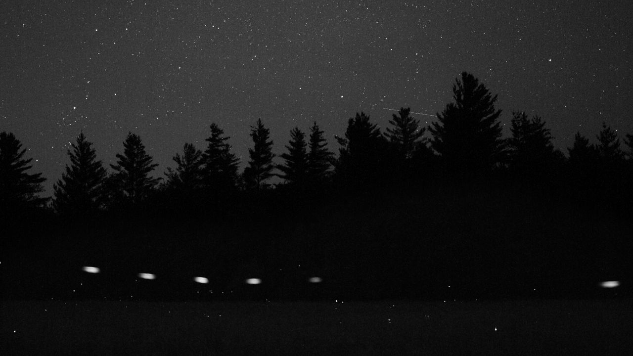 Wallpaper starry sky, constellation, cassiopeia, trees, night