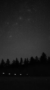 Preview wallpaper starry sky, constellation, cassiopeia, trees, night