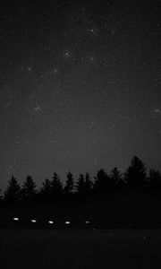 Preview wallpaper starry sky, constellation, cassiopeia, trees, night