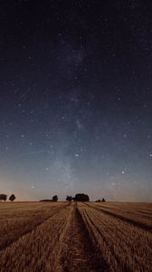 Preview wallpaper starry sky, field, grass, twilight, night, trees