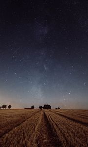 Preview wallpaper starry sky, field, grass, twilight, night, trees