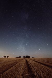 Preview wallpaper starry sky, field, grass, twilight, night, trees
