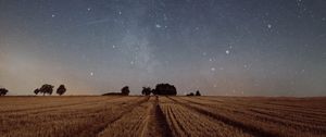 Preview wallpaper starry sky, field, grass, twilight, night, trees