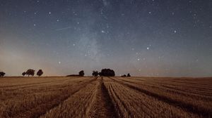 Preview wallpaper starry sky, field, grass, twilight, night, trees