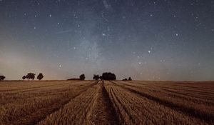 Preview wallpaper starry sky, field, grass, twilight, night, trees