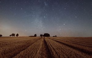 Preview wallpaper starry sky, field, grass, twilight, night, trees