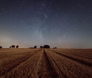 Preview wallpaper starry sky, field, grass, twilight, night, trees