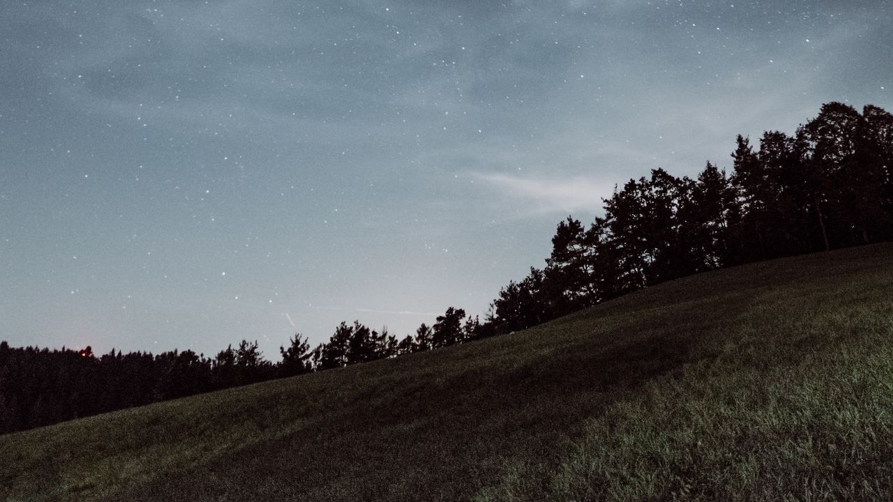 Wallpaper starry sky, field, grass, stars, horizon