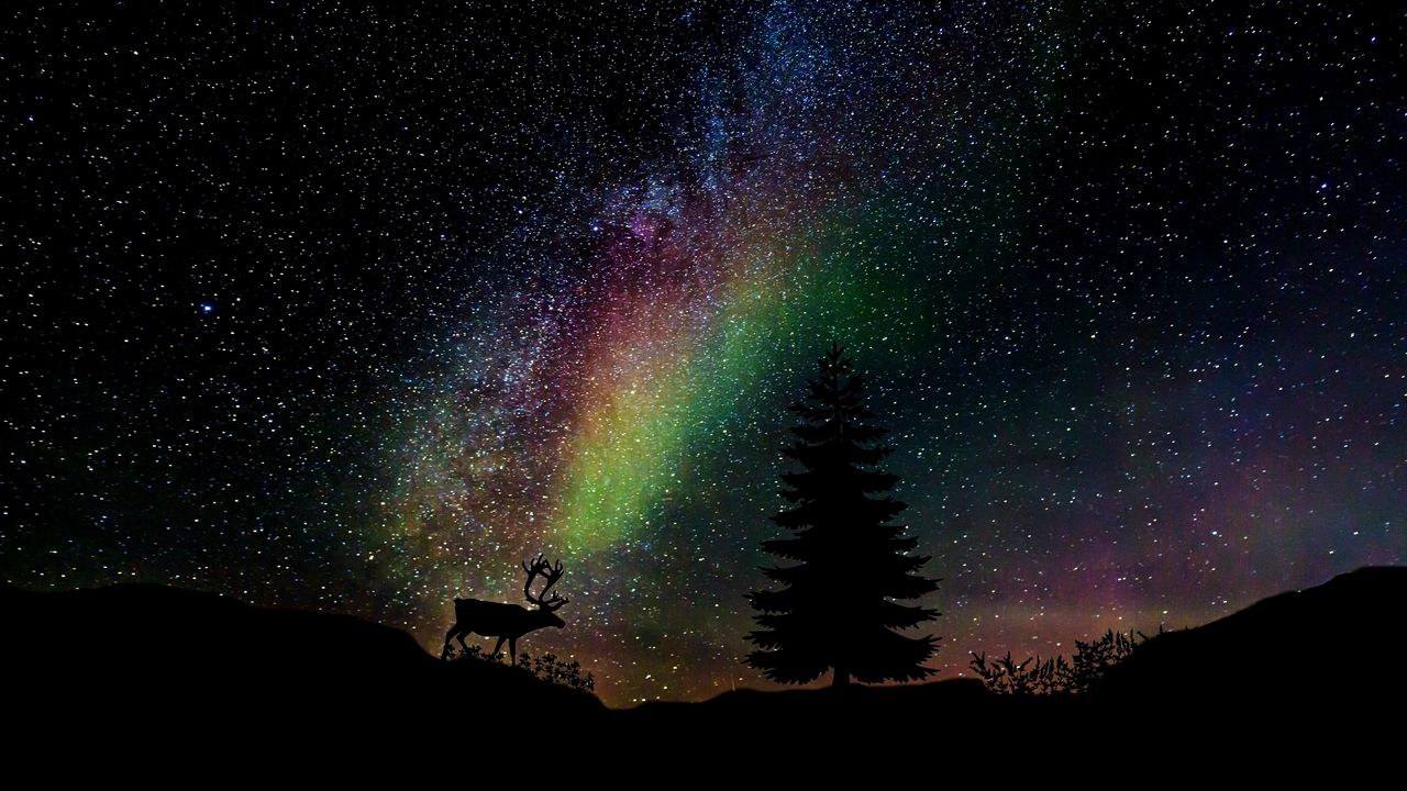 Wallpaper starry sky, fir, deer, photoshop