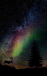 Preview wallpaper starry sky, fir, deer, photoshop