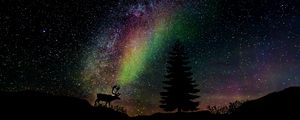 Preview wallpaper starry sky, fir, deer, photoshop