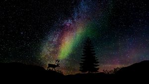 Preview wallpaper starry sky, fir, deer, photoshop