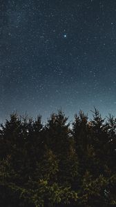 Preview wallpaper starry sky, fir trees, night, trees, sky