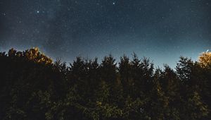 Preview wallpaper starry sky, fir trees, night, trees, sky