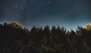 Preview wallpaper starry sky, fir trees, night, trees, sky